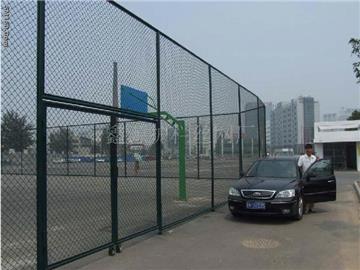 Stadium circle net 