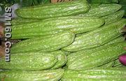 balsam pear extract