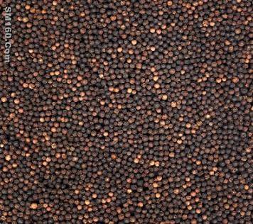 Black pepper powder