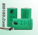 Gps battery(ER34615.AA,ER14505H)