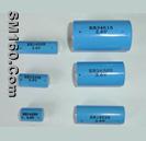 Li/SOCl2 Battery