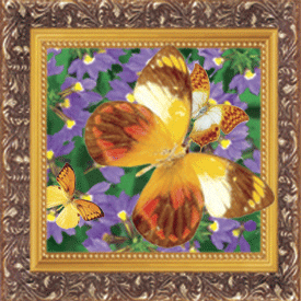 lenticular 3d prints 3d ,lenticular poster 3d ,lenticular gifts 3d