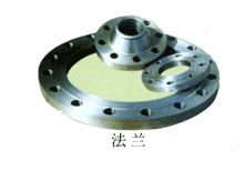 Titanium flanges and rings