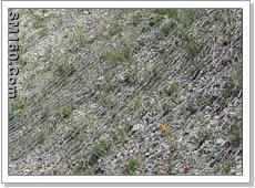 Fence System