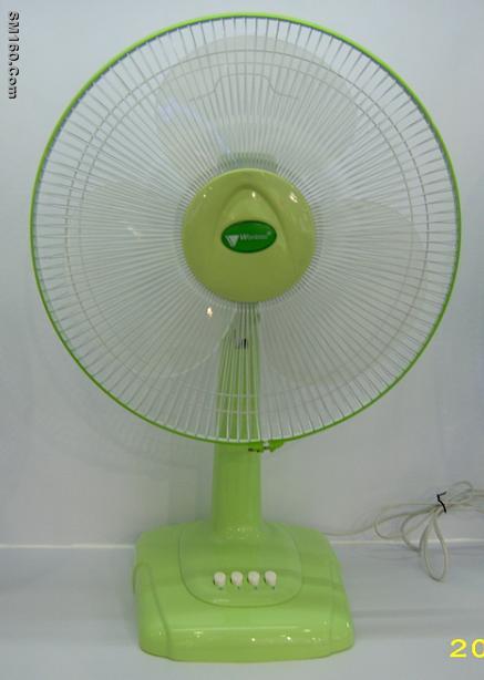 Fans