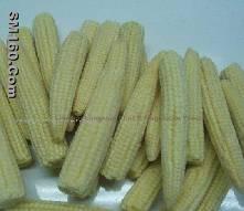 frozen baby corn