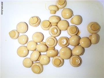 Canned Mushroom