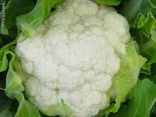 IQF Cauliflowers