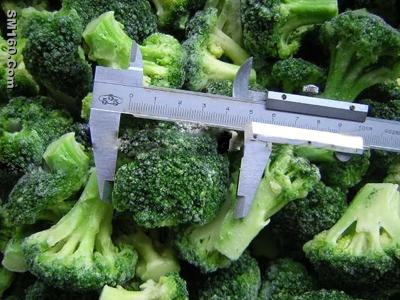 IQF Broccoli