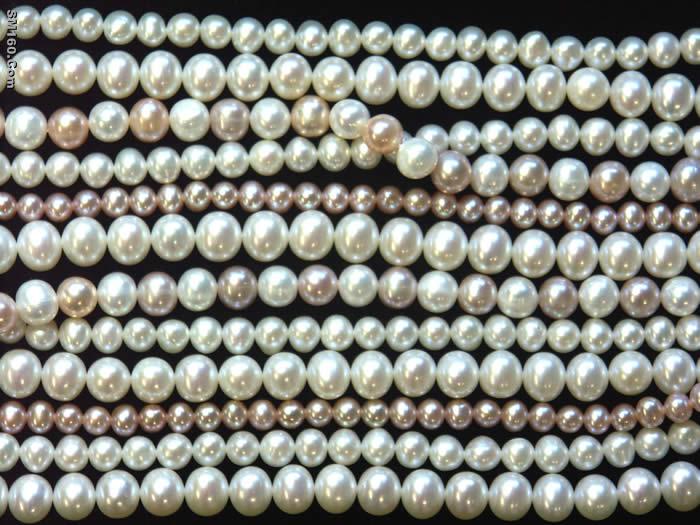 freshwater pearl