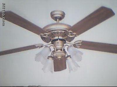 fan