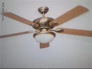 fan