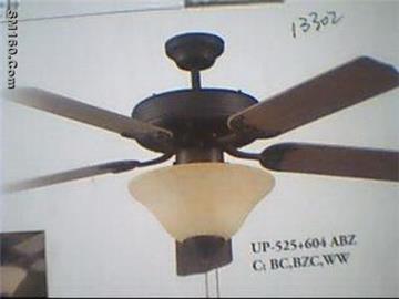 fan
