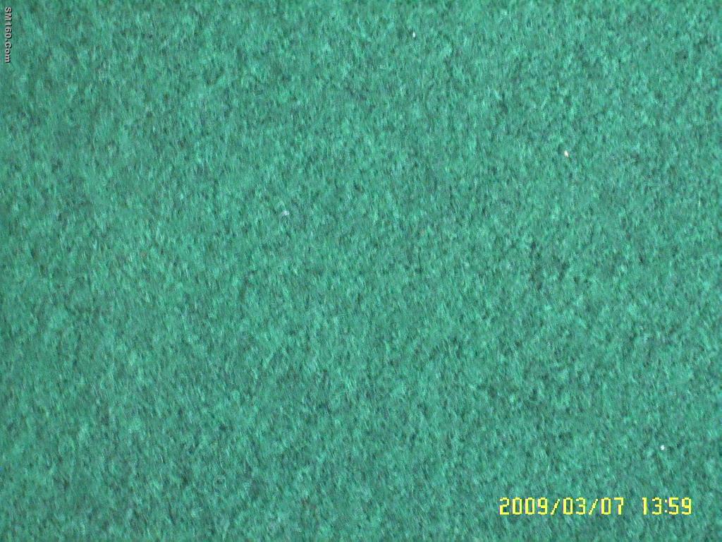 Flame Retardent Exhibition Carpet