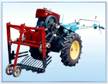rhizome harvester 