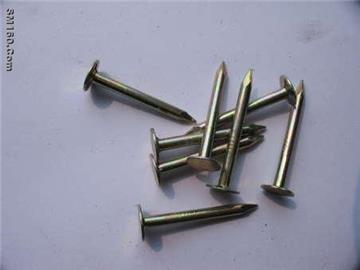 ceilin nail