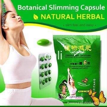 Top herbal slimming products, Meizitang zisu slimming softgel