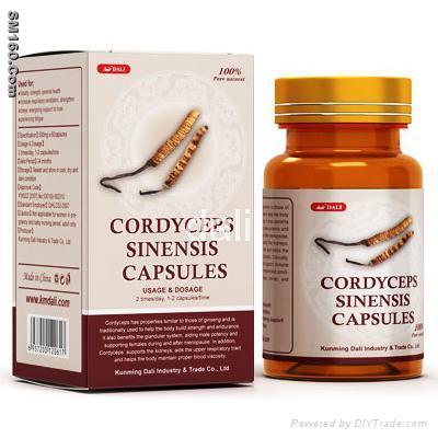 Powerful Anti aging Product - Cordyceps Sinensis Capsule