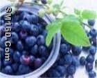  Sweetberry Anthocyanin  