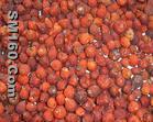      Rose Hip Powder