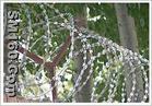razor barbed wire