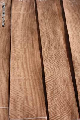 eucalyptus veneer