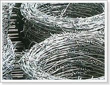 Galvanized Barbed Wire