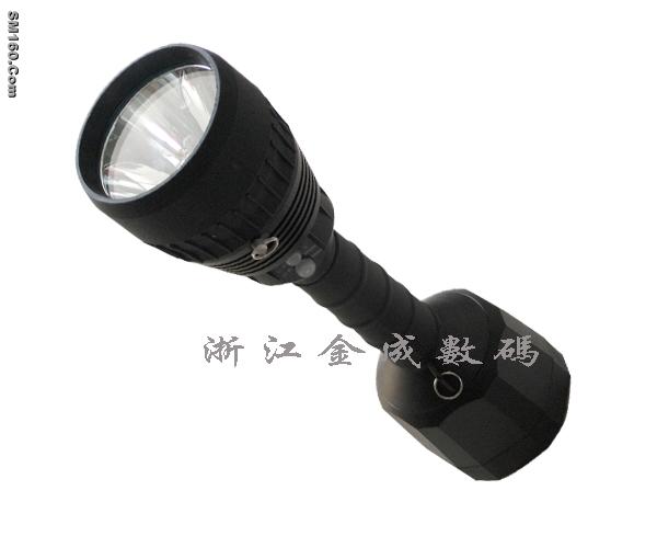 Flash Light