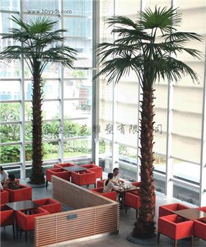 emulational coco trees