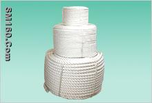 PP Danline Rope L3 