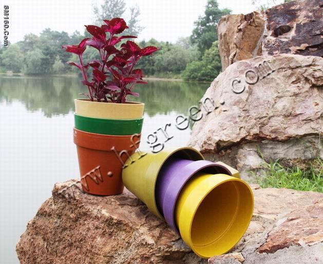 flower vases