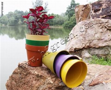 flower vases