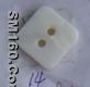 Freshwater shell button