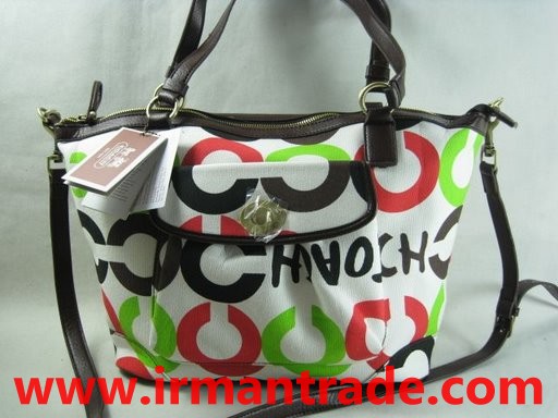 2009 New Fashion Bag,Ladies Handbags