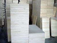 paulownia timber