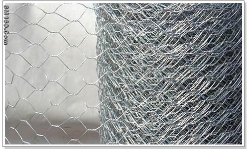 Hexagonal wire netting 