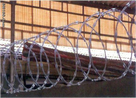 Electrified Concertina Wire 