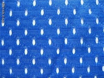 Polyester Dryer Fabric 