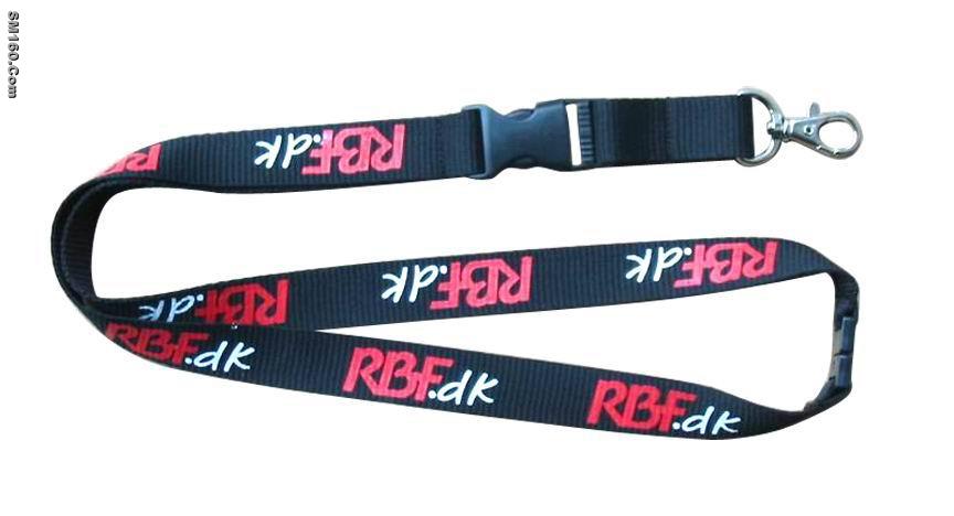 Lanyard