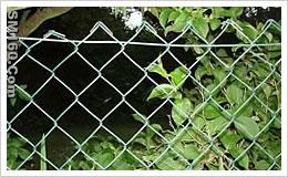 Chain Link Fence