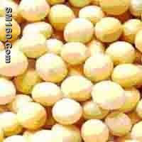 Soybean Isoflavones P.E
