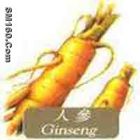  Ginseng Extract