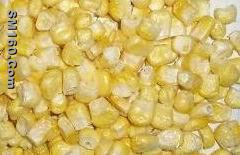 Freeze Dried Sweet Corn