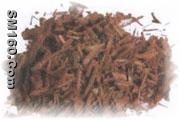 Yohimbe Bark P.E.