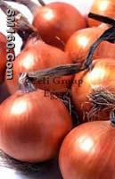 red onion