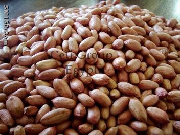 peanut