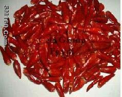 red chillie