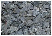 Welded Wire Mesh Fabrics