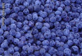 blueberry concentrate(sales25 at lgberry dot com dot cn)