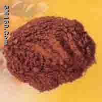 Grape Seed Extract   